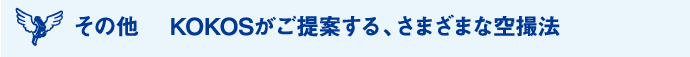 使用その他 KOKOSがご提案する、さまざまな空撮法